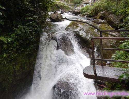 Nambillo Waterfall