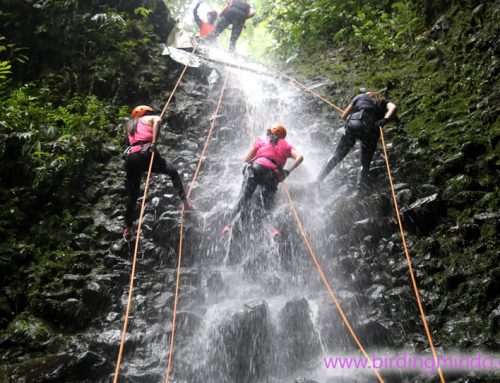 Canyoning