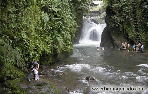 cascada